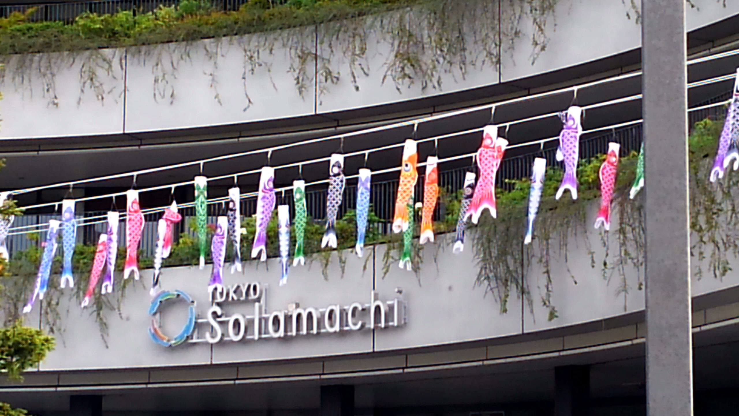 tokyoskytree_Joe exhibition 50th